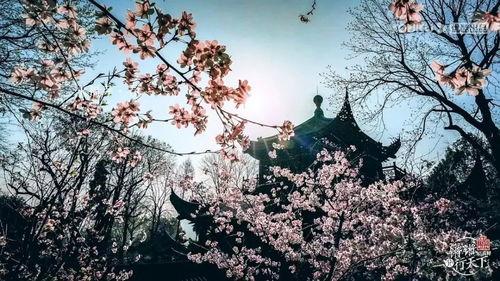 国产春色在线
